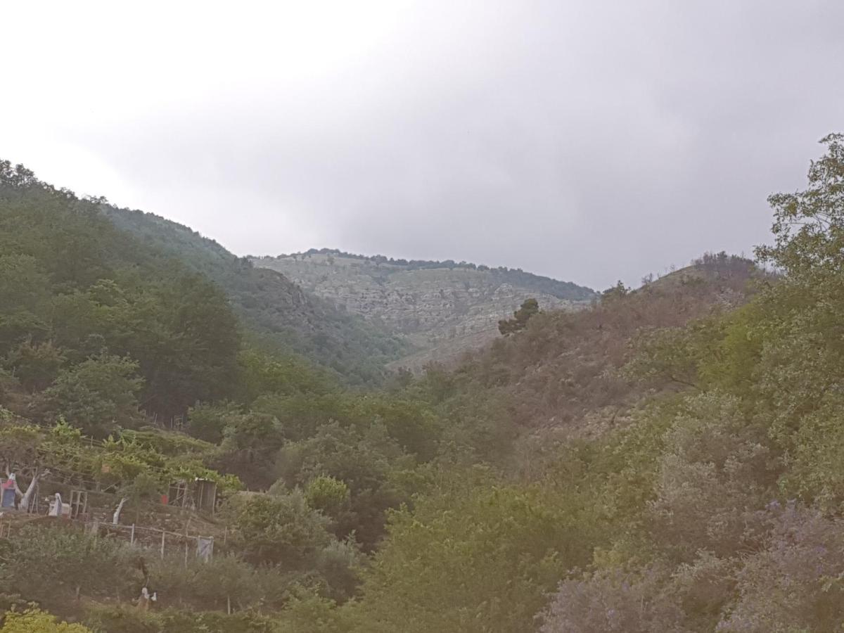 Arnasco Bed & Breakfast Ca' Di Vissai المظهر الخارجي الصورة