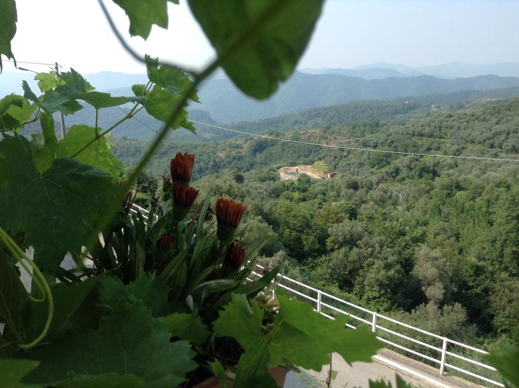 Arnasco Bed & Breakfast Ca' Di Vissai المظهر الخارجي الصورة