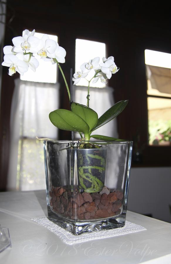 Arnasco Bed & Breakfast Ca' Di Vissai المظهر الخارجي الصورة